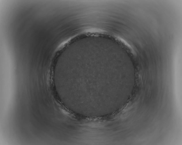 X0000111520775200907211223