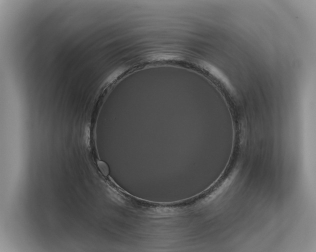 X0000111520777200907211223