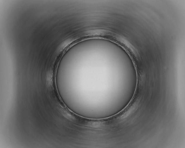 X0000111520778200907211223