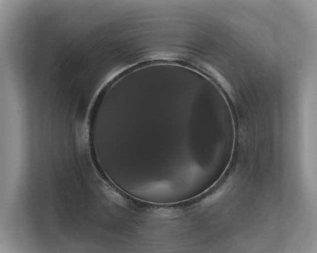 X0000111520779200907211223