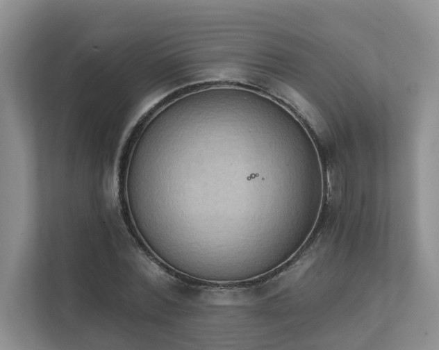 X0000111520780200907211223