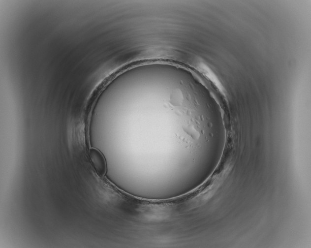 X0000111520781200907211223