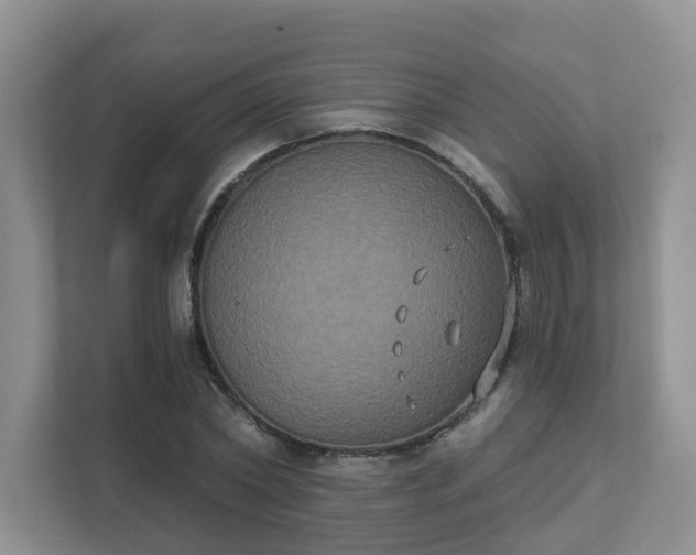 X0000111520782200907211223