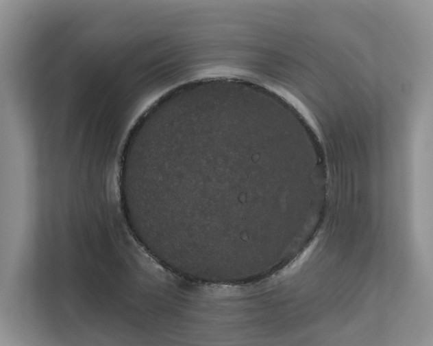 X0000111520783200907211223
