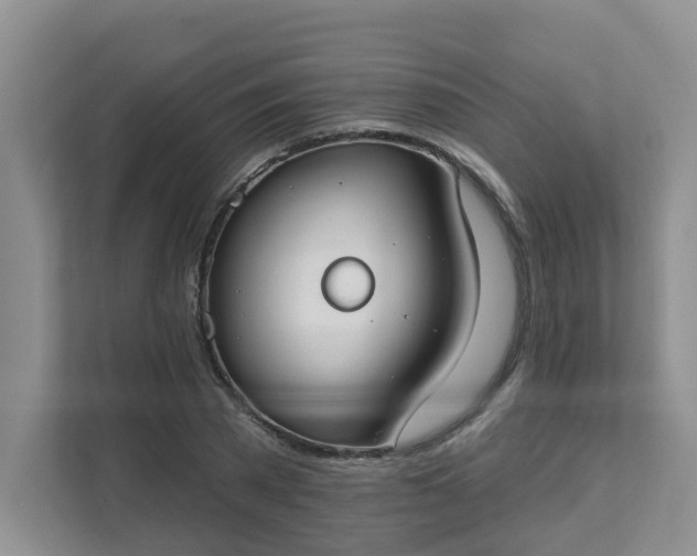 X0000111520785200907211223