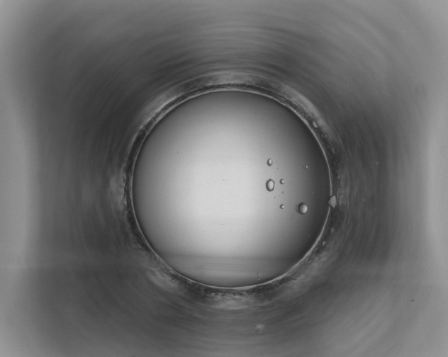X0000111520786200907211223