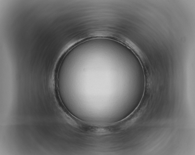 X0000111520787200907211223