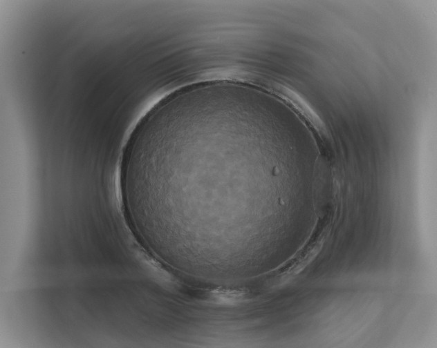 X0000111520788200907211223