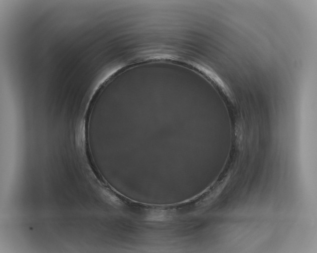 X0000111520790200907211223