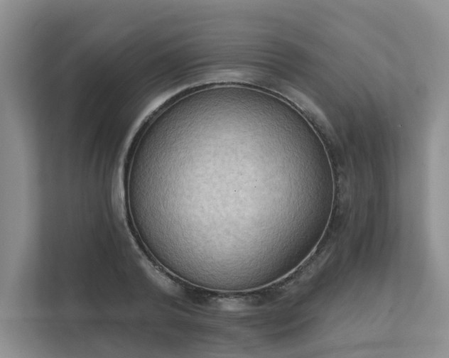 X0000111520792200907211223