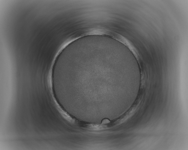X0000111520795200907211223