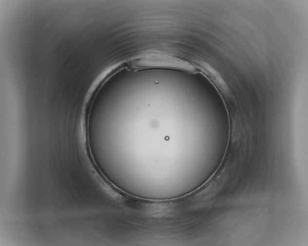 X0000111520796200907211223