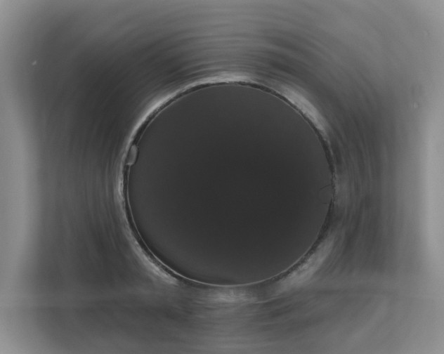 X0000111520797200907211223