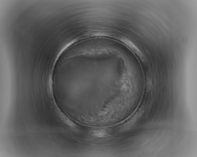 X0000111520798200907211223