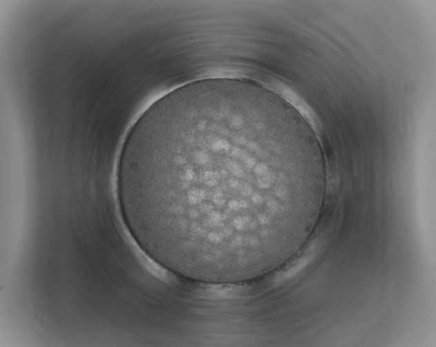 X0000111520803200907211223