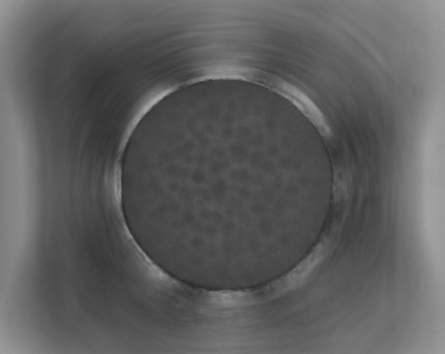 X0000111520804200907211223