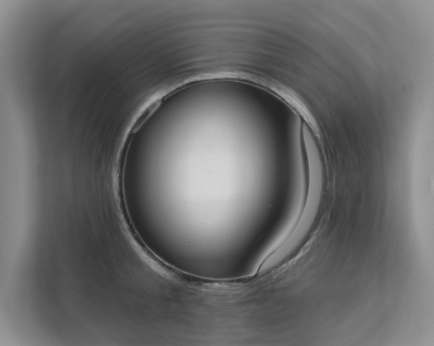 X0000111520805200907211223