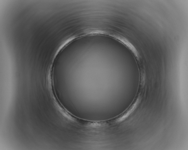 X0000111520806200907211223