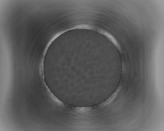 X0000111520808200907211223