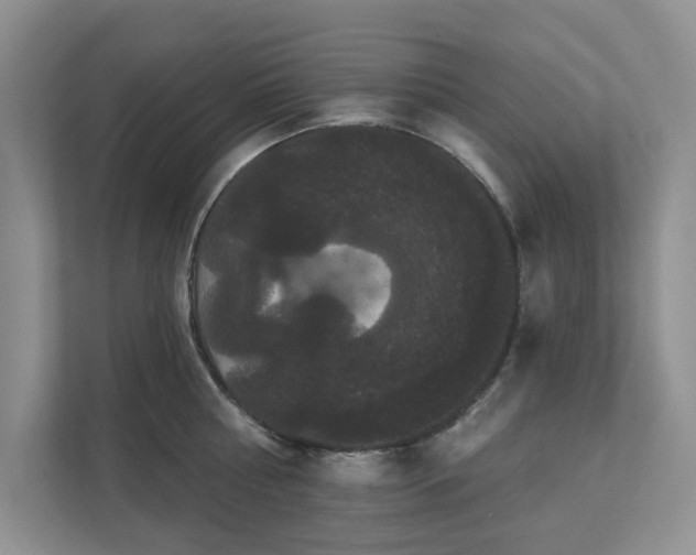 X0000111520810200907211223