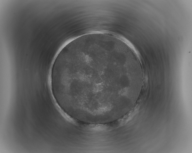 X0000111520811200907211223