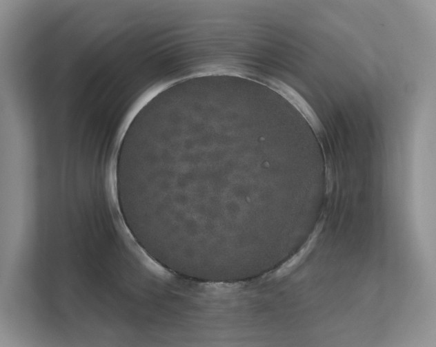X0000111520812200907211223