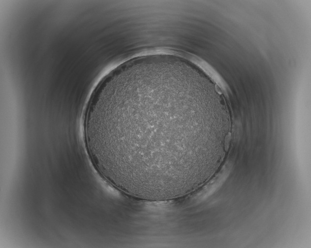 X0000111520813200907211223