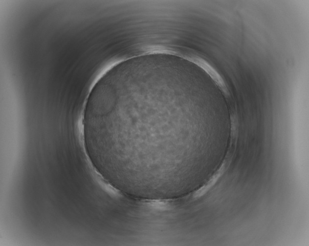 X0000111520814200907211223