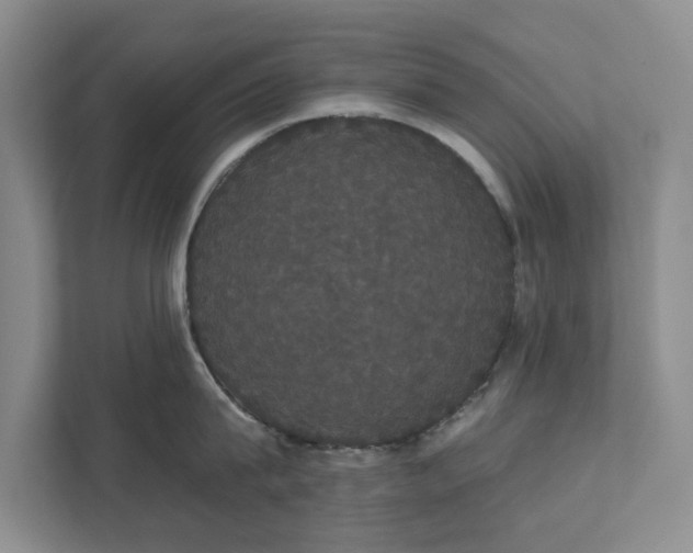 X0000111520815200907211223