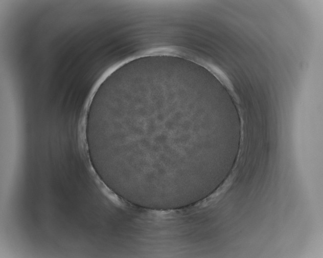 X0000111520816200907211223