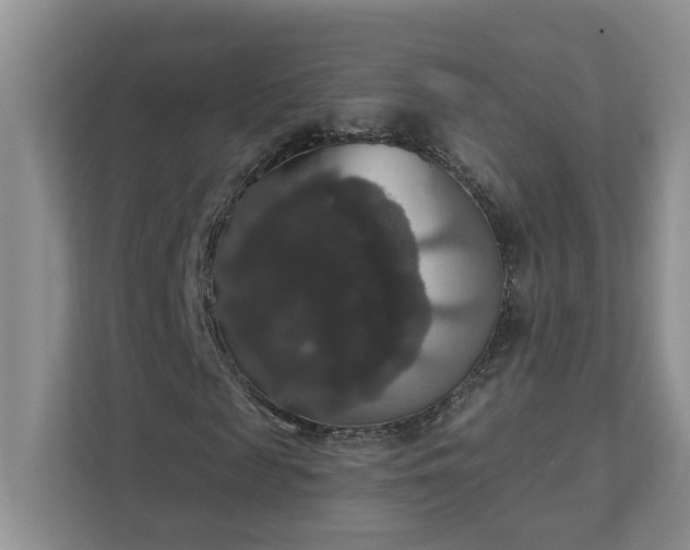 X0000111520817200907211222