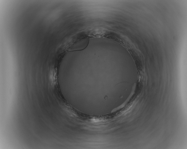X0000111520818200907211222