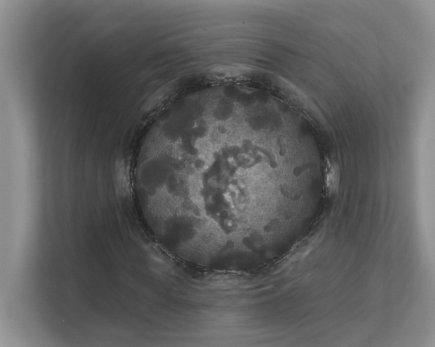 X0000111520819200907211222