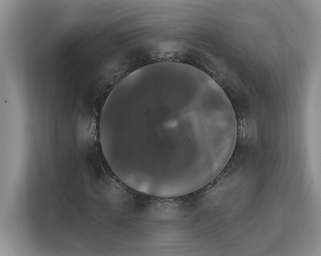 X0000111520820200907211222