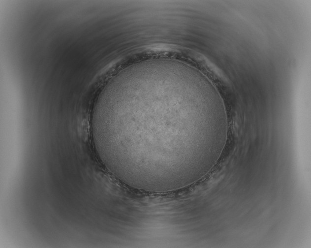 X0000111520821200907211222