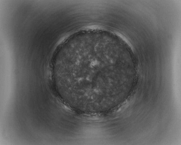 X0000111520823200907211222