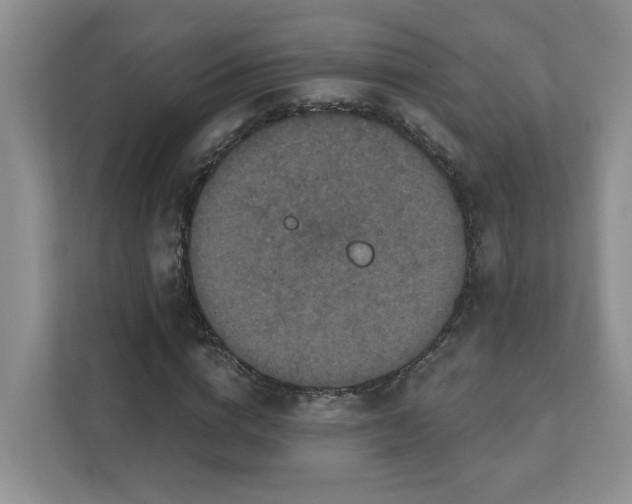 X0000111520824200907211222