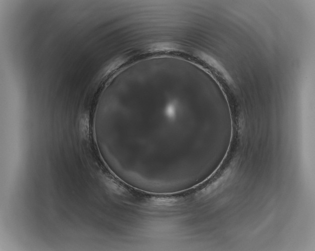 X0000111520825200907211222
