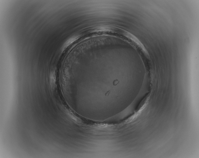X0000111520826200907211222