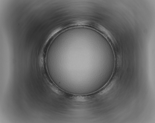 X0000111520827200907211222