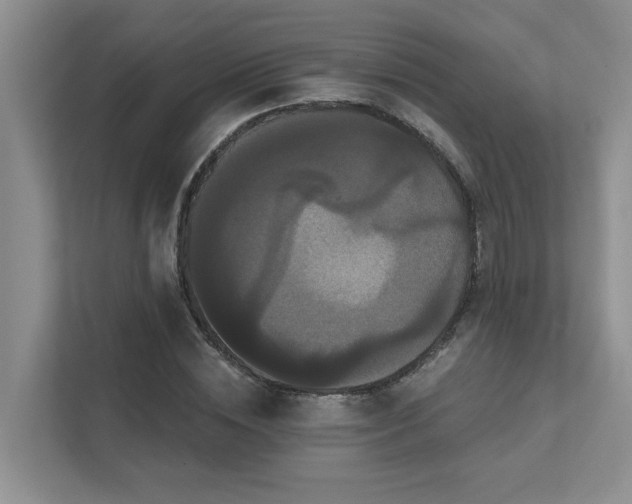 X0000111520828200907211222