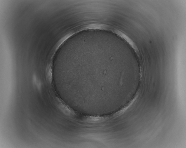X0000111520829200907211222