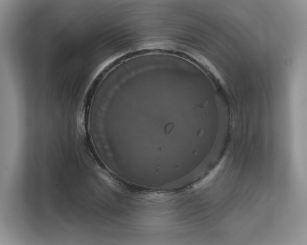 X0000111520830200907211222