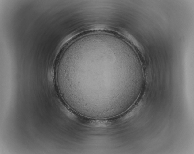 X0000111520831200907211222
