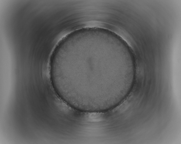 X0000111520832200907211222