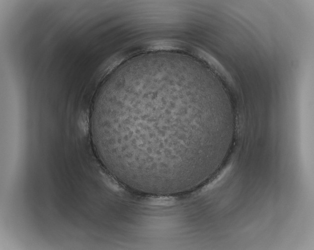 X0000111520833200907211222