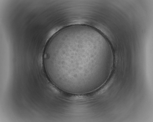 X0000111520834200907211222
