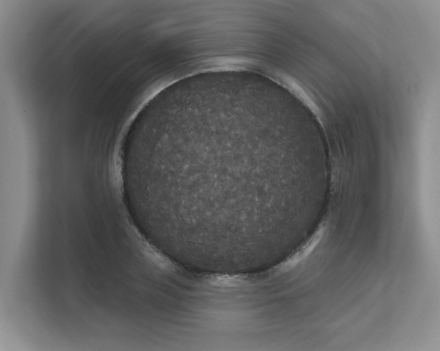 X0000111520835200907211222
