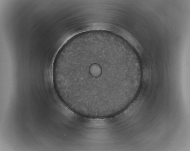 X0000111520836200907211222