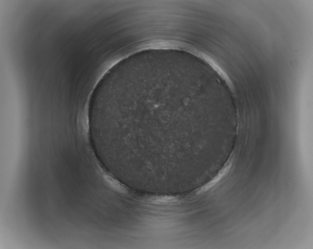X0000111520837200907211222